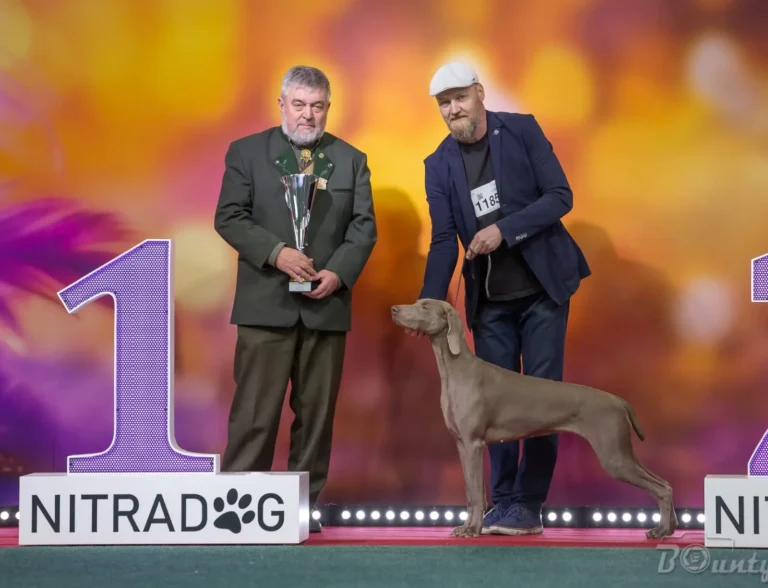 Fergie Brava z Turoveckých lesů