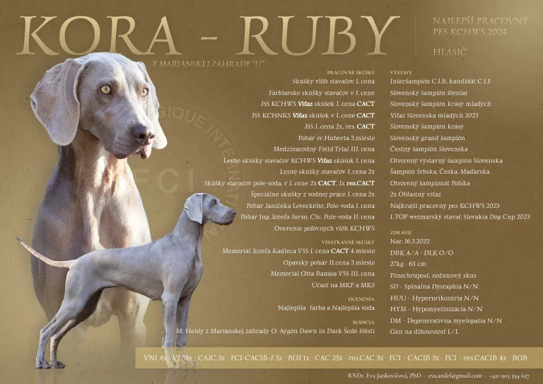 KORA-RUBY z Mariánskej záhrady